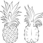 Raskrasil.com-Pineapple-Coloring-Pages-76