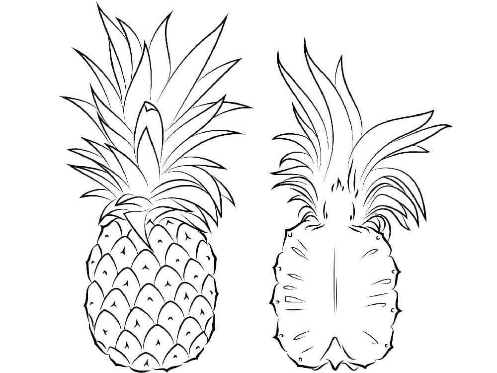 Raskrasil.com-Pineapple-Coloring-Pages-76