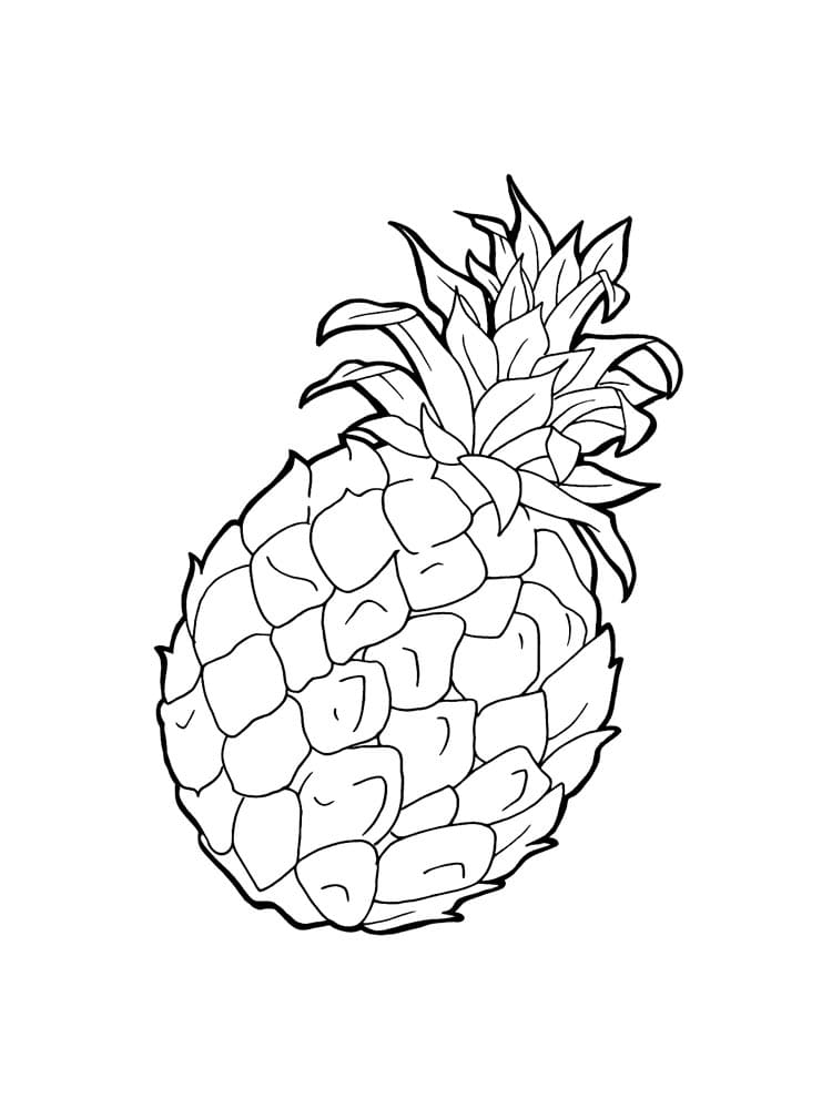 Raskrasil.com-Pineapple-Coloring-Pages-78