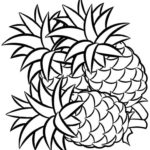Raskrasil.com-Pineapple-Coloring-Pages-80