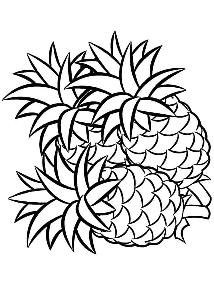 Raskrasil.com-Pineapple-Coloring-Pages-80