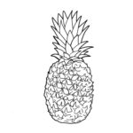Raskrasil.com-Pineapple-Coloring-Pages-81
