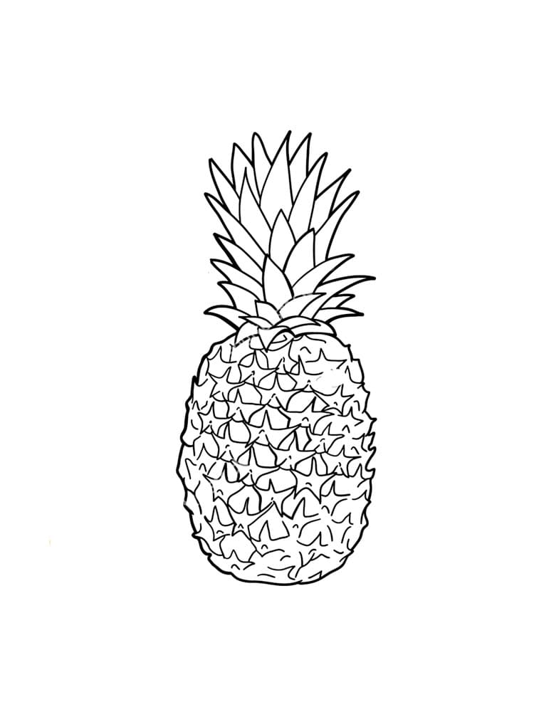 Raskrasil.com-Pineapple-Coloring-Pages-81