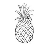 Raskrasil.com-Pineapple-Coloring-Pages-82