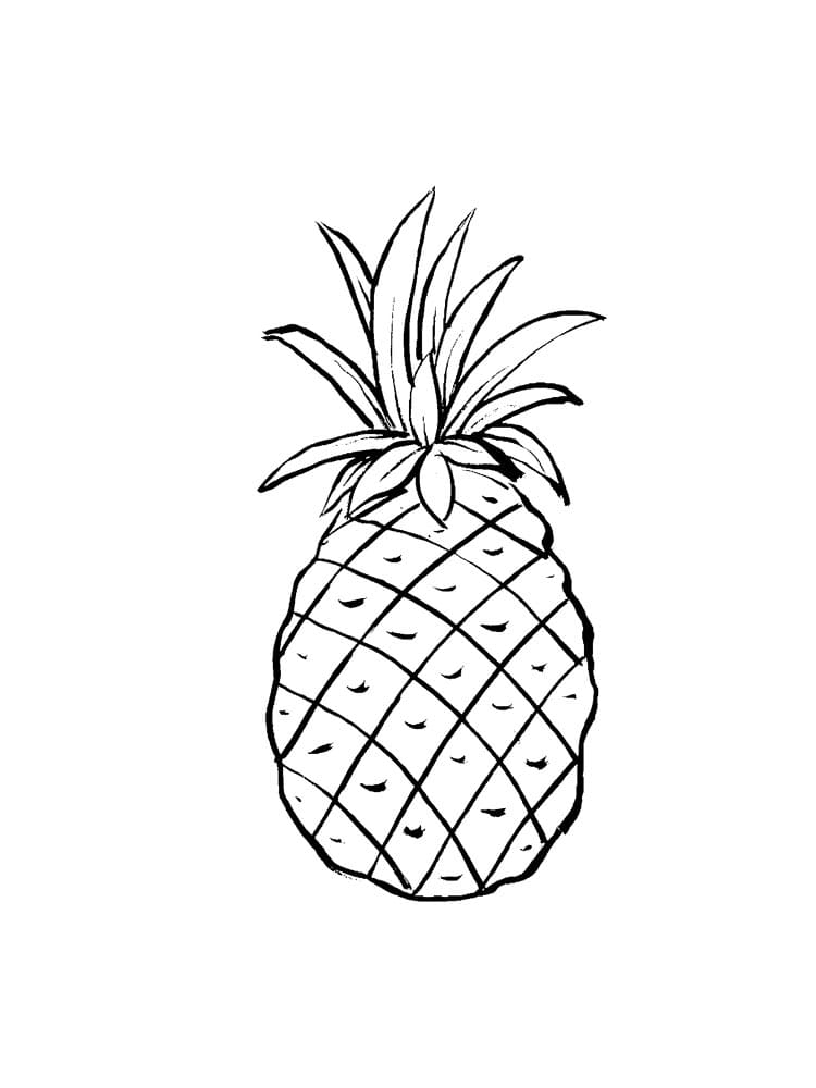 Raskrasil.com-Pineapple-Coloring-Pages-82