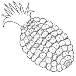 Raskrasil.com-Pineapple-Coloring-Pages-83