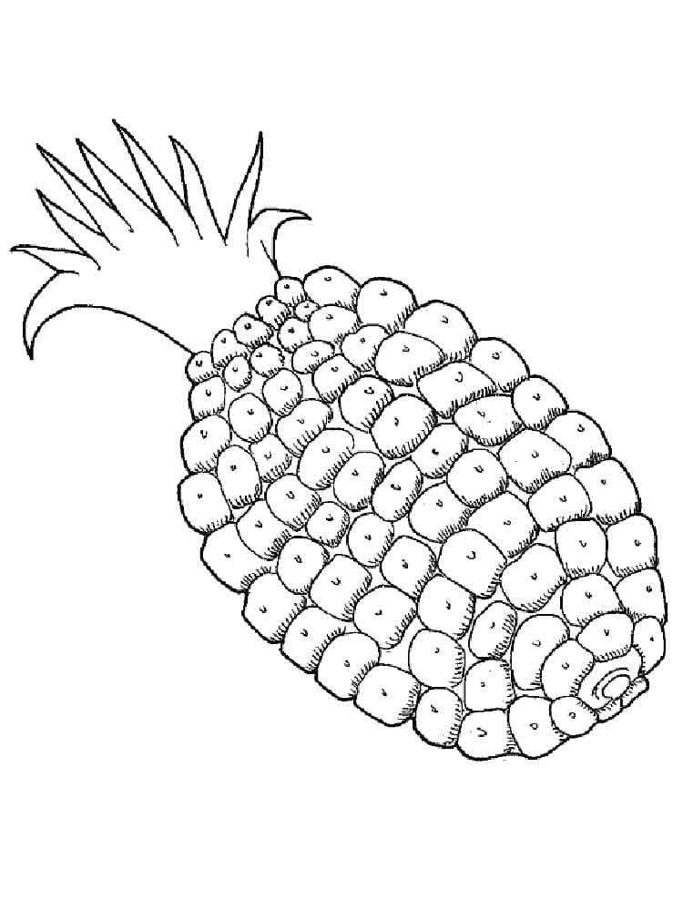 Raskrasil.com-Pineapple-Coloring-Pages-83