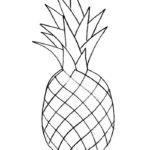 Raskrasil.com-Pineapple-Coloring-Pages-85