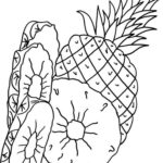 Raskrasil.com-Pineapple-Coloring-Pages-87