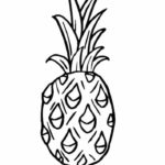 Raskrasil.com-Pineapple-Coloring-Pages-88
