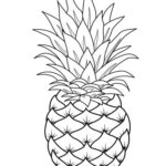 Raskrasil.com-Pineapple-Coloring-Pages-91