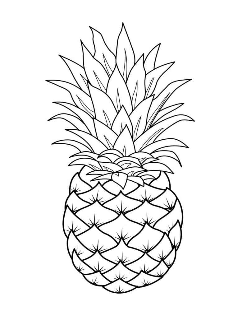 Raskrasil.com-Pineapple-Coloring-Pages-91