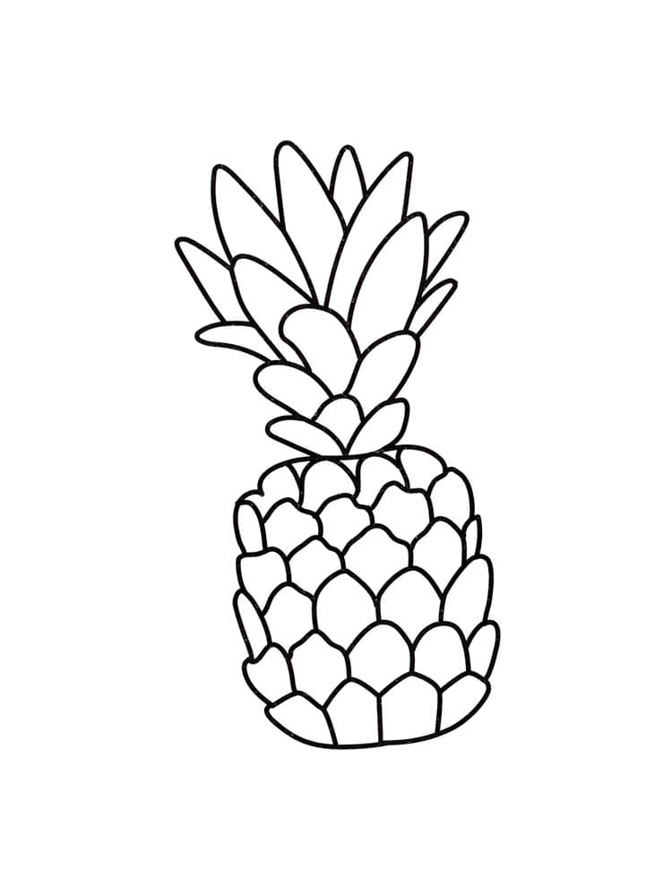 Raskrasil.com-Pineapple-Coloring-Pages-92