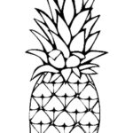 Raskrasil.com-Pineapple-Coloring-Pages-94