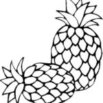 Raskrasil.com-Pineapple-Coloring-Pages-97