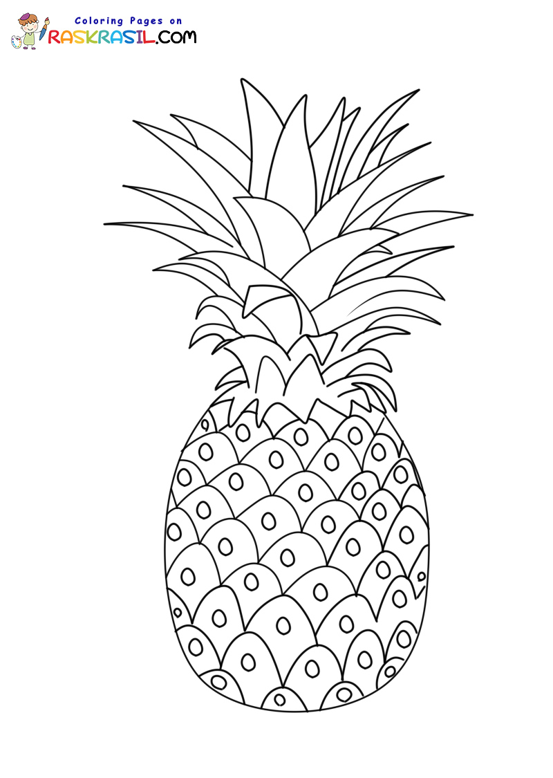 Raskrasil.com-Pineapple-New-Coloring-Pages-3