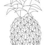 Raskrasil.com-Pineapple-New-Coloring-Pages-4