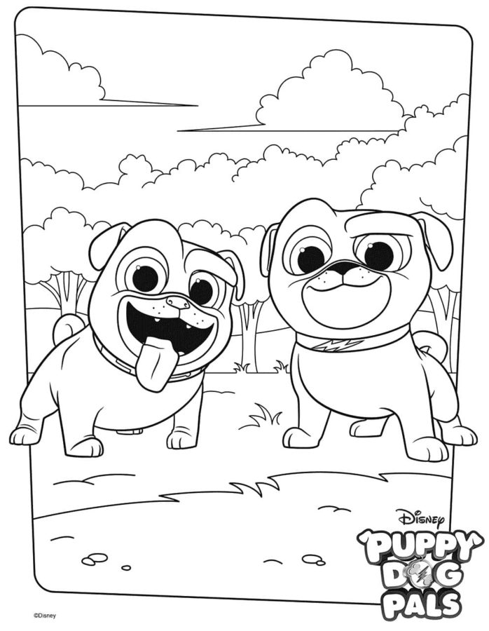 Desenhos de Puppy Dog Pals para Colorir