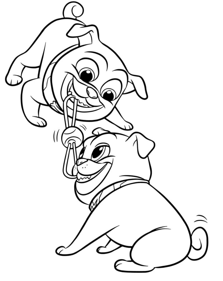 Desenhos de Puppy Dog Pals para Colorir