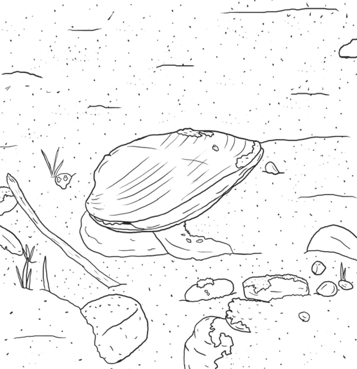 Raskrasil.com-Seashell-Coloring-Pages-12