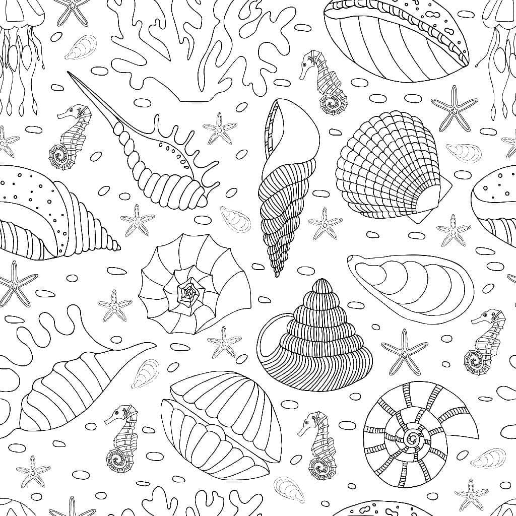 Raskrasil.com-Seashell-Coloring-Pages-13