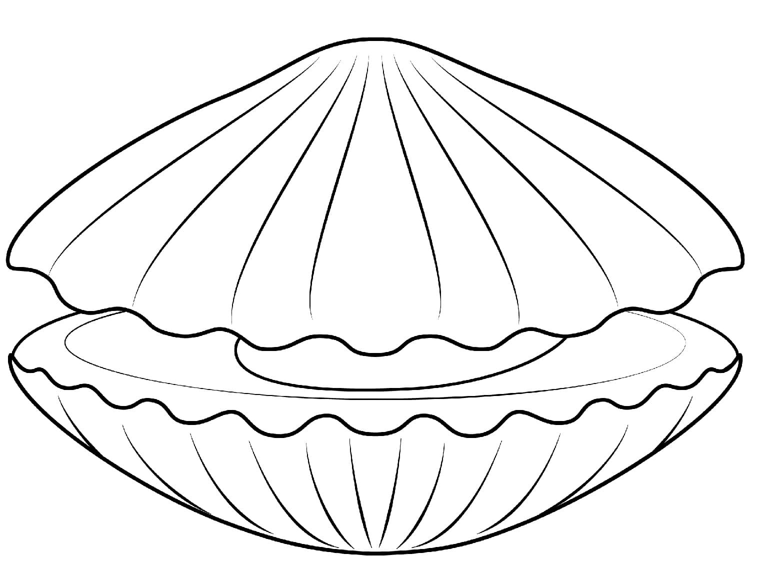 Raskrasil.com-Seashell-Coloring-Pages-15