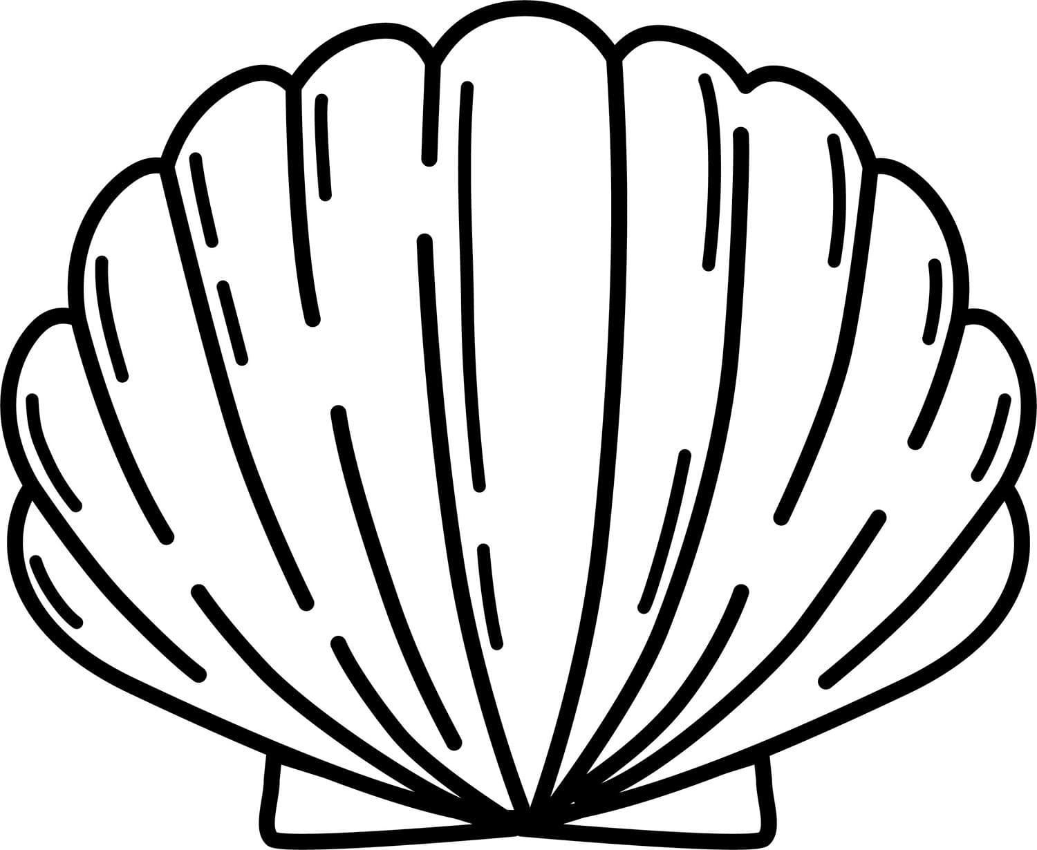 Raskrasil.com-Seashell-Coloring-Pages-18