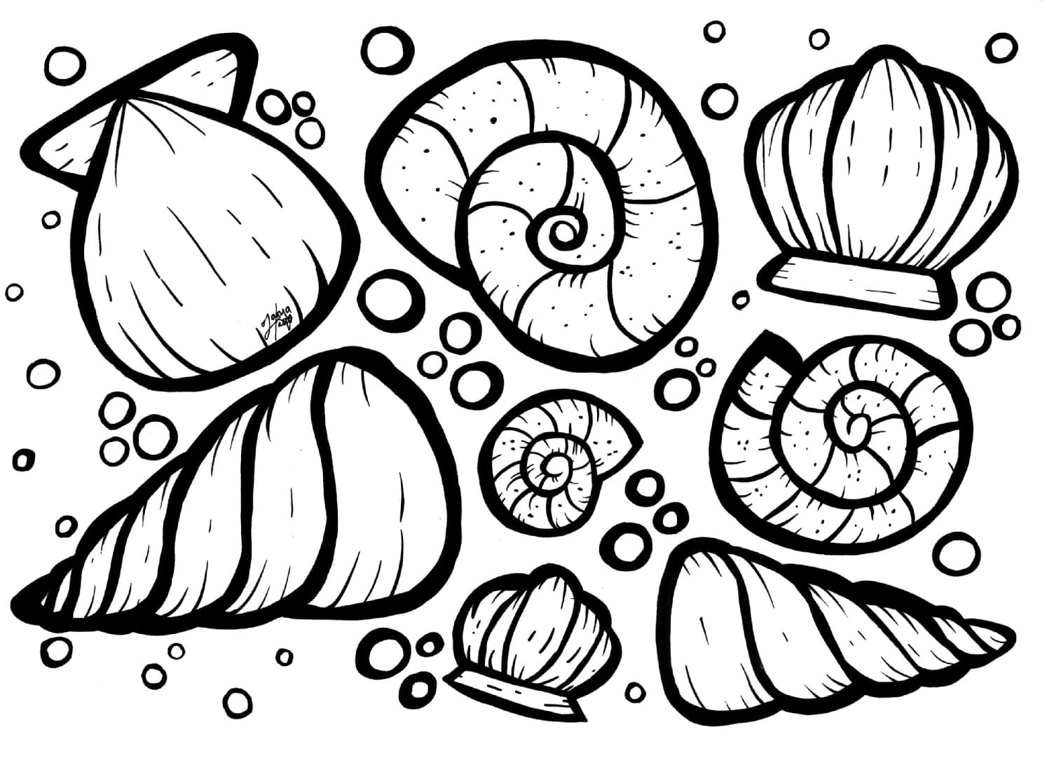 Raskrasil.com-Seashell-Coloring-Pages-2