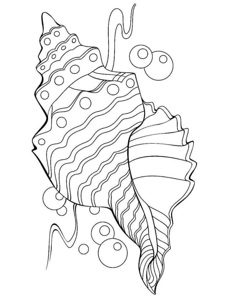 Raskrasil.com-Seashell-Coloring-Pages-45