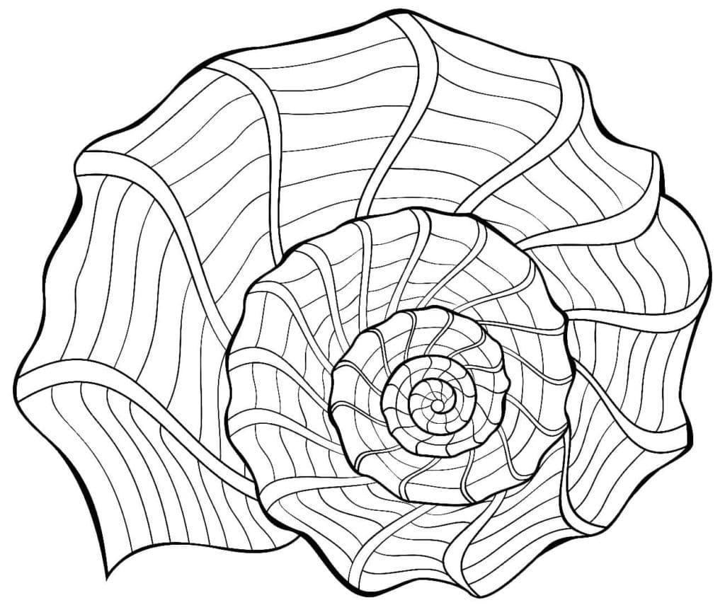 Raskrasil.com-Seashell-Coloring-Pages-50