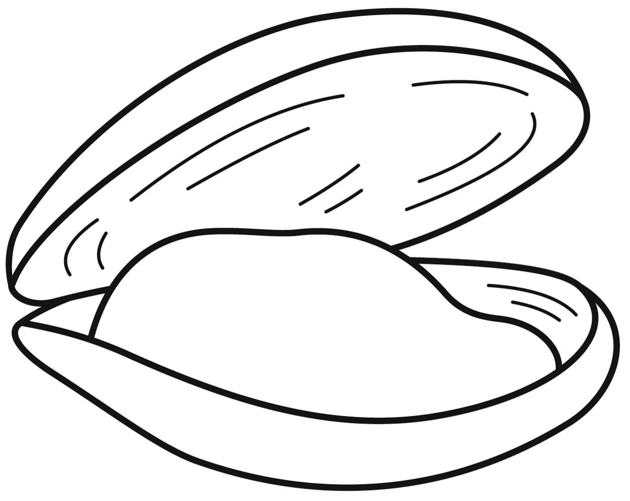 Raskrasil.com-Seashell-Coloring-Pages-53