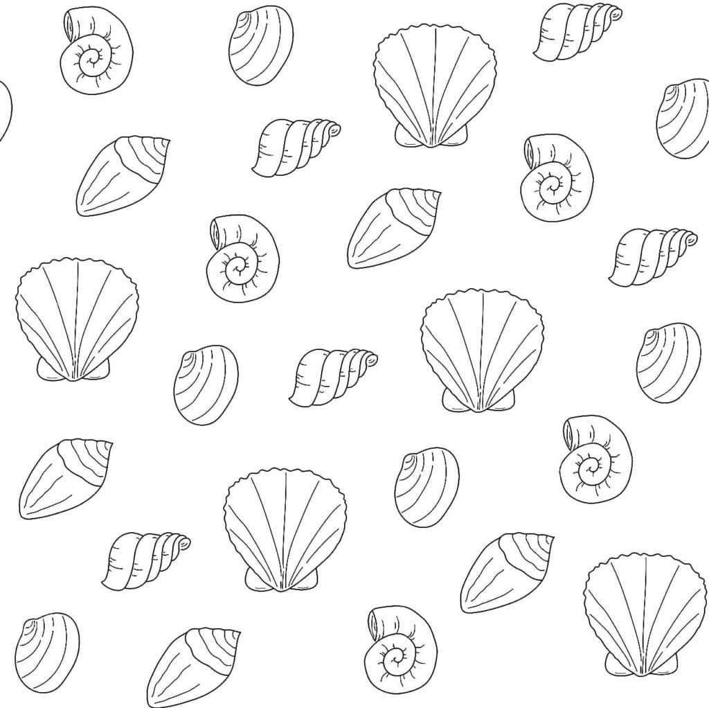 Raskrasil.com-Seashell-Coloring-Pages-63