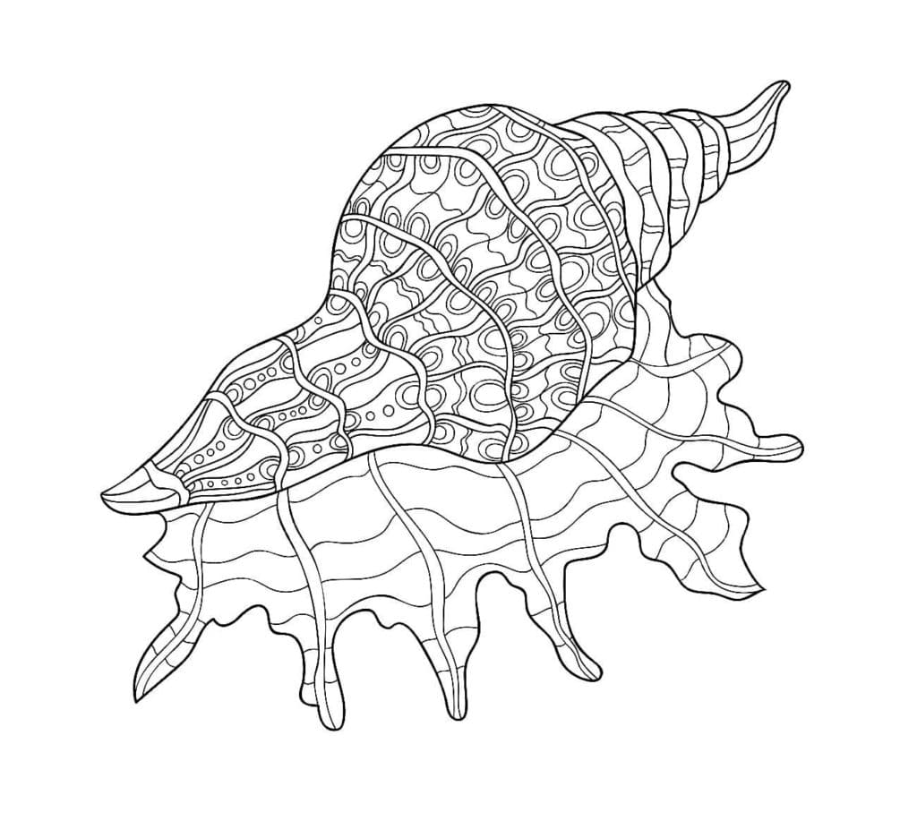 Raskrasil.com-Seashell-Coloring-Pages-65