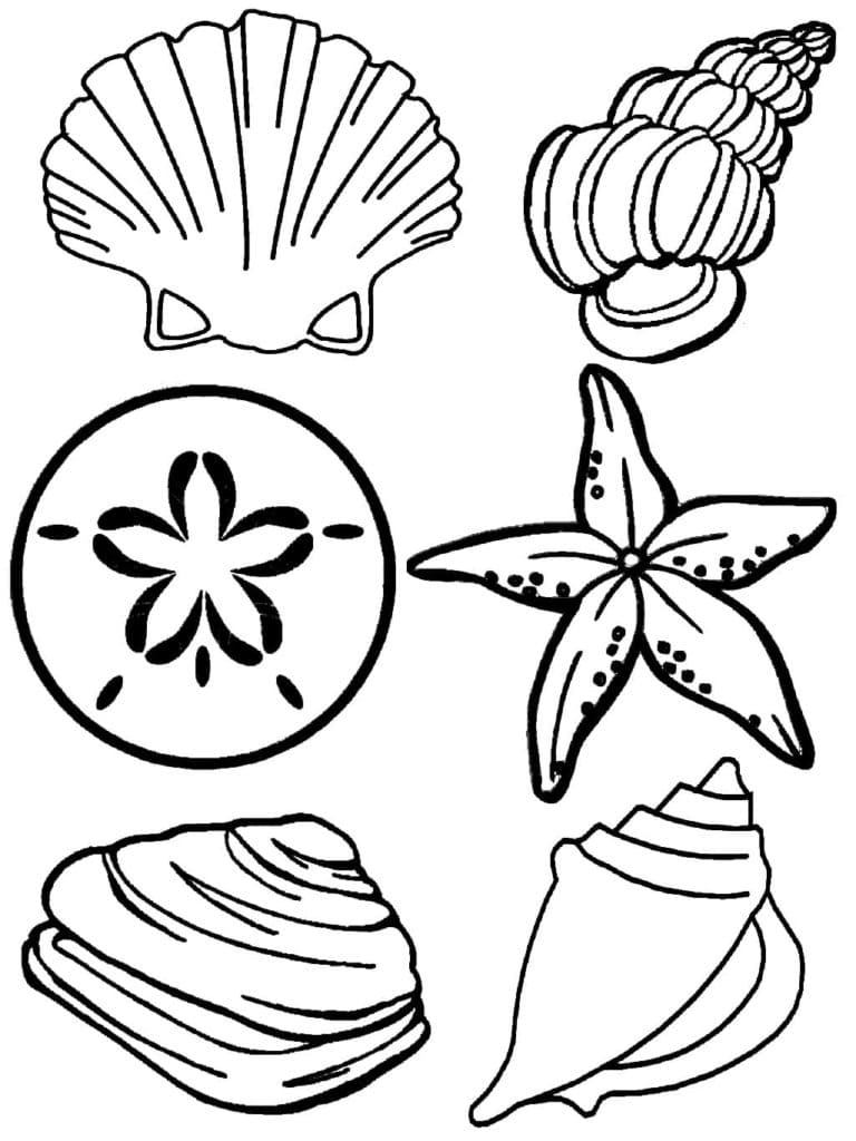 Raskrasil.com-Seashell-Coloring-Pages-69