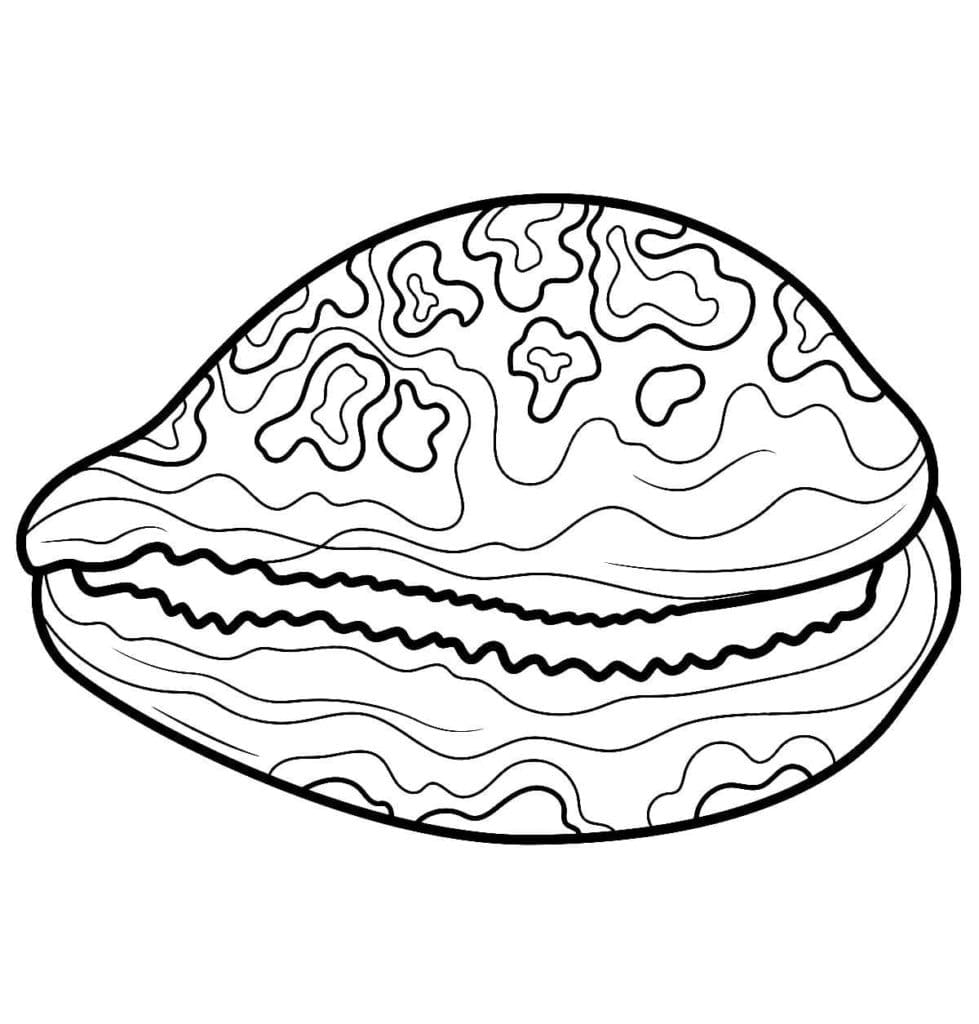 Raskrasil.com-Seashell-Coloring-Pages-73