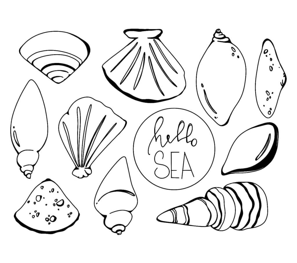 Raskrasil.com-Seashell-Coloring-Pages-75