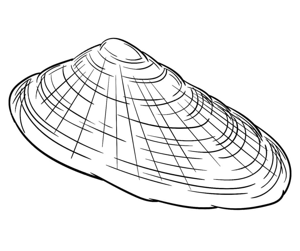 Raskrasil.com-Seashell-Coloring-Pages-77