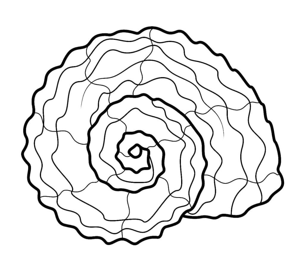 Raskrasil.com-Seashell-Coloring-Pages-80