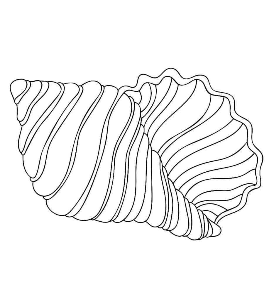 Raskrasil.com-Seashell-Coloring-Pages-84
