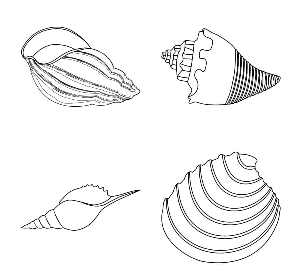 Raskrasil.com-Seashell-Coloring-Pages-86