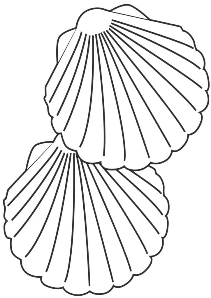 Raskrasil.com-Seashell-Coloring-Pages-87
