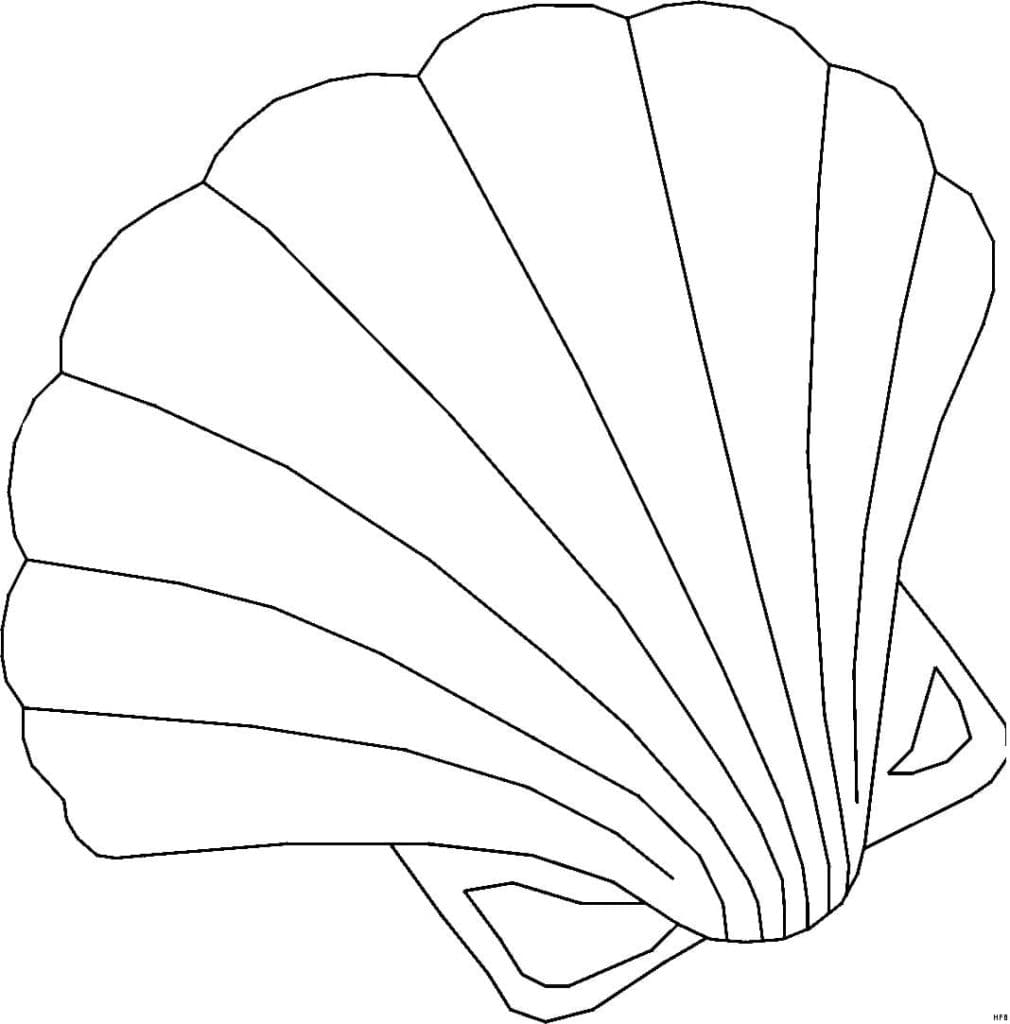 Raskrasil.com-Seashell-Coloring-Pages-89