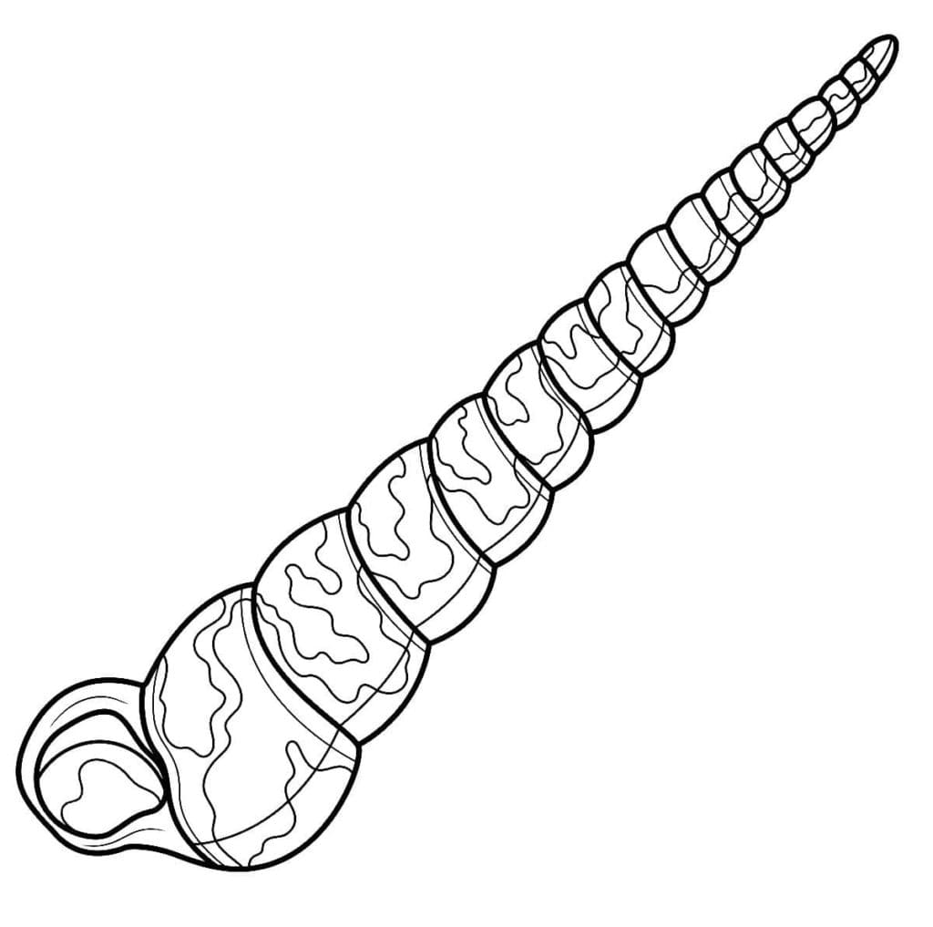 Raskrasil.com-Seashell-Coloring-Pages-92