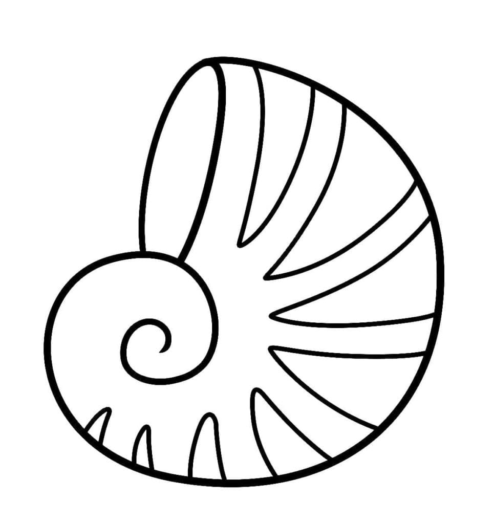 Raskrasil.com-Seashell-Coloring-Pages-99