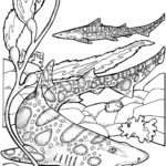 Raskrasil.com-Shark-Coloring-Pages-1