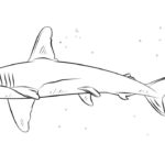 Raskrasil.com-Shark-Coloring-Pages-102