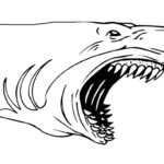 Raskrasil.com-Shark-Coloring-Pages-103