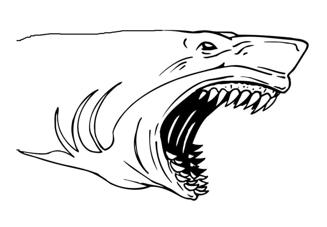 Raskrasil.com-Shark-Coloring-Pages-103