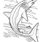 Raskrasil.com-Shark-Coloring-Pages-12