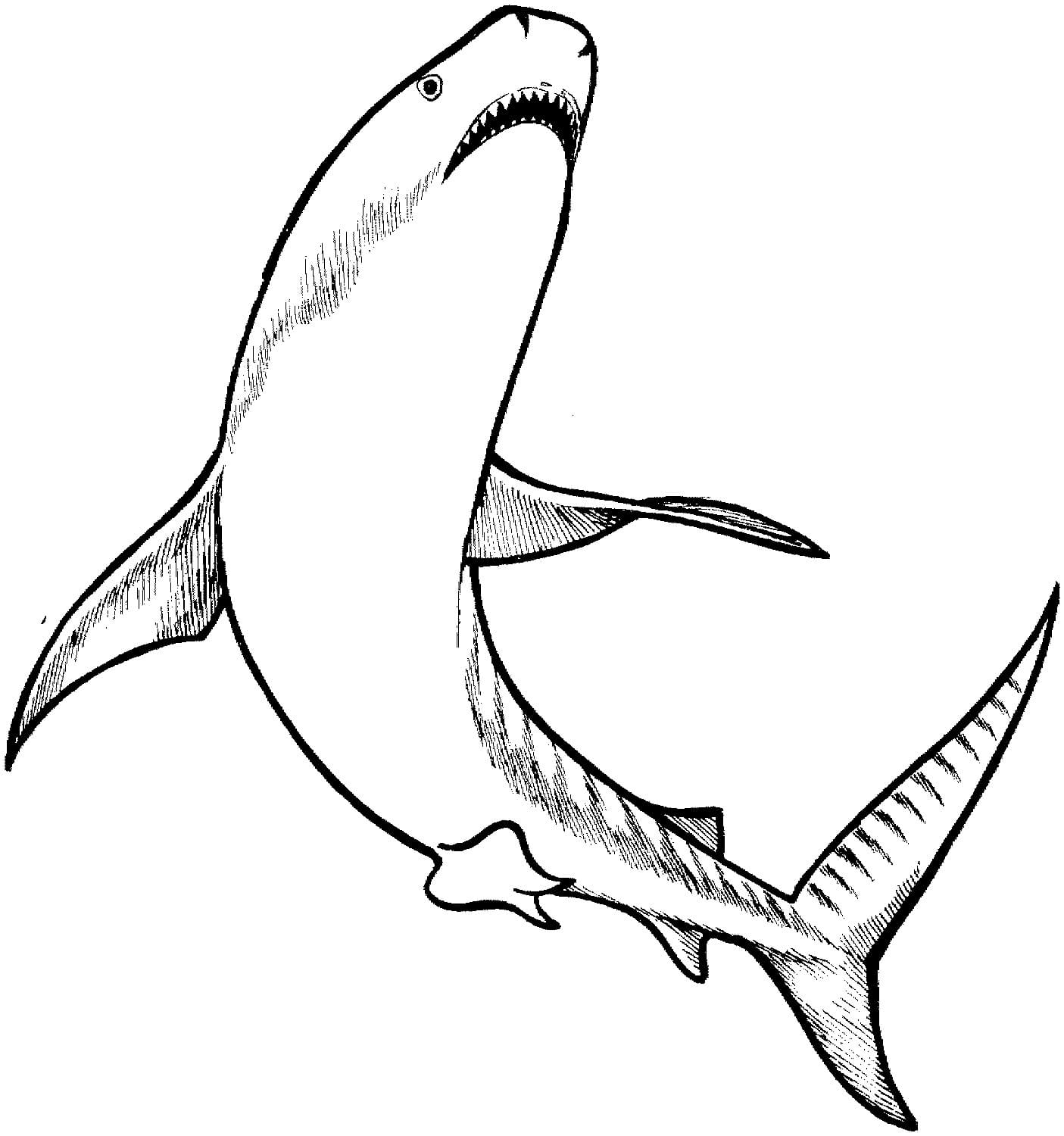 Raskrasil.com-Shark-Coloring-Pages-15